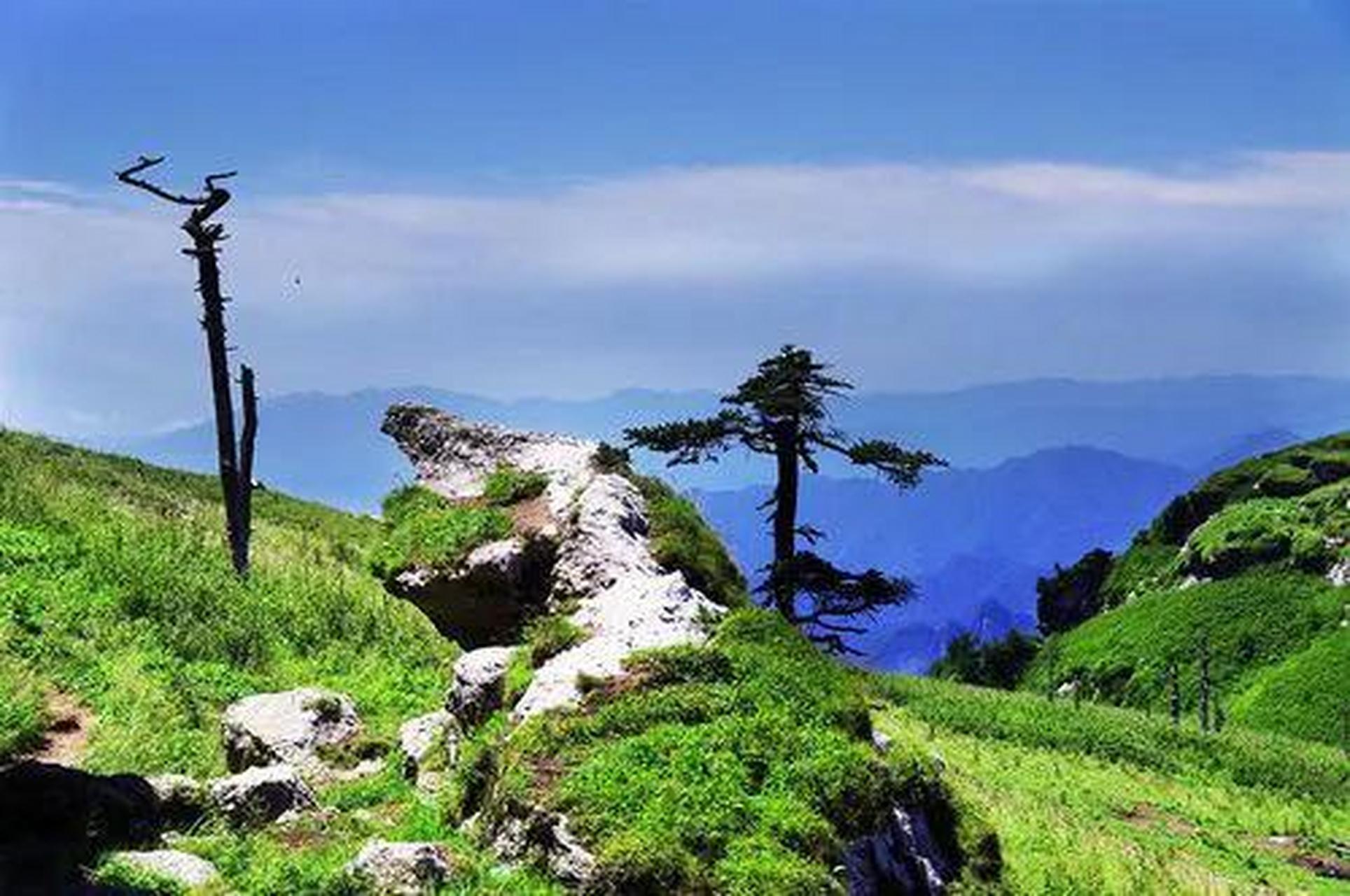 秦岭为什么被称为中华龙脉?