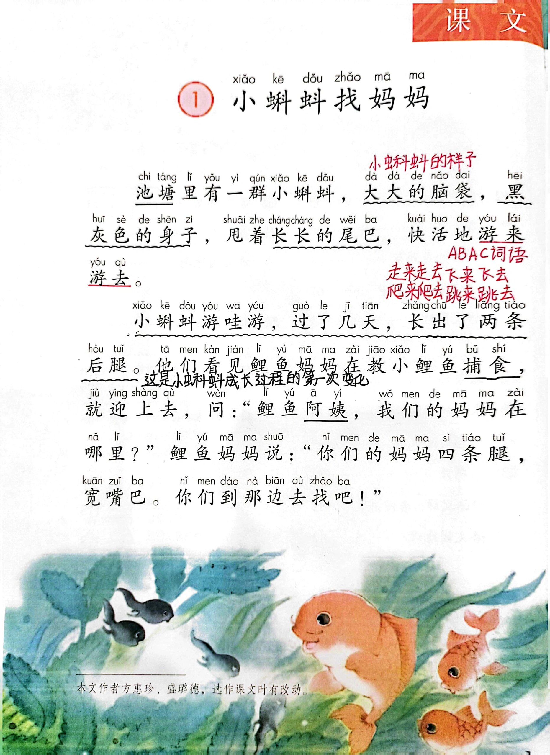 二年级语文上册第一课《小蝌蚪找妈妈》  上册第一课《小蝌蚪找妈妈》