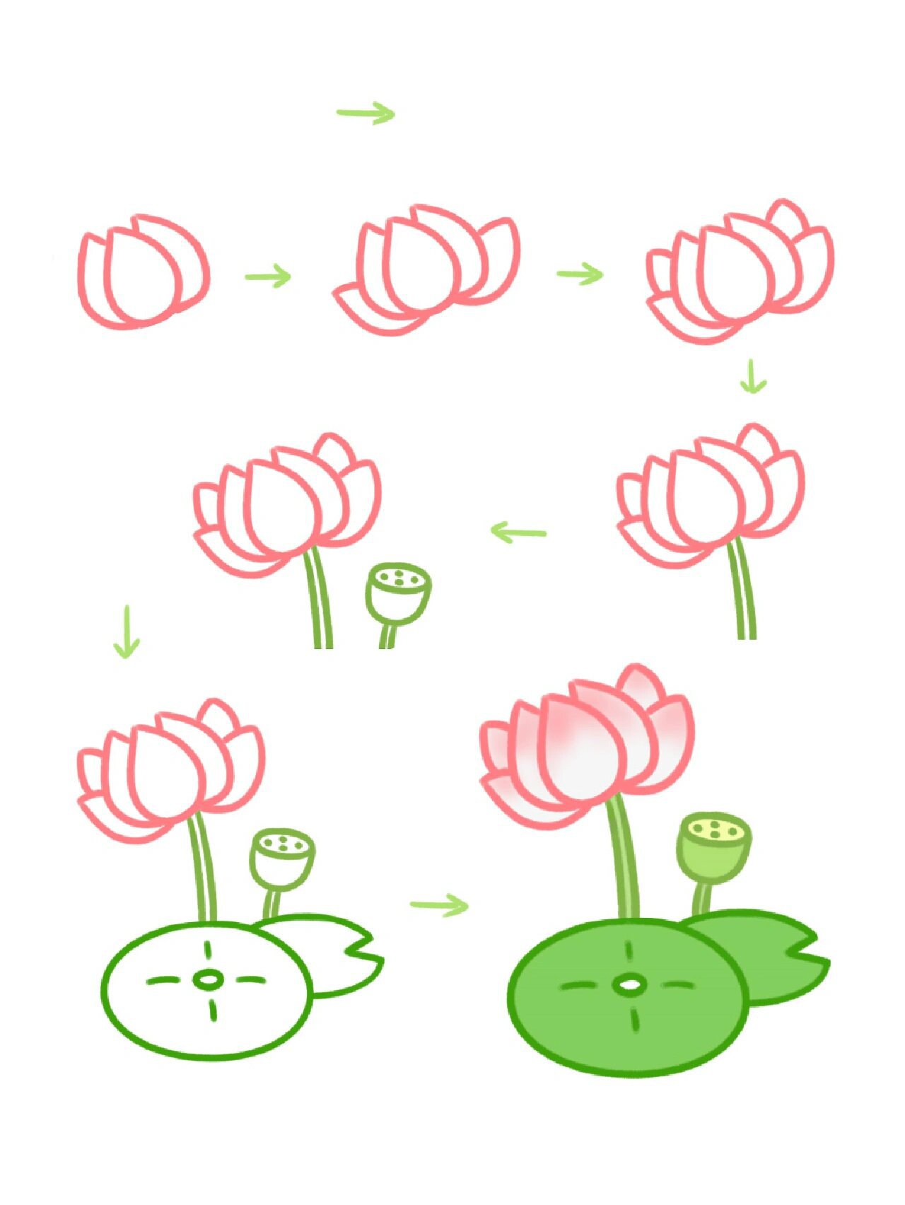 小贝简笔画-莲花 描边颜色 荷花:粉红色 荷花茎莲蓬:浅绿 荷叶:深绿.