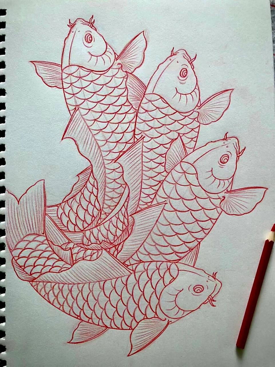 鲤鱼 《南流五部曲》鲤鱼画法 线上6班画的鲤鱼,干净整洁的线条,自然