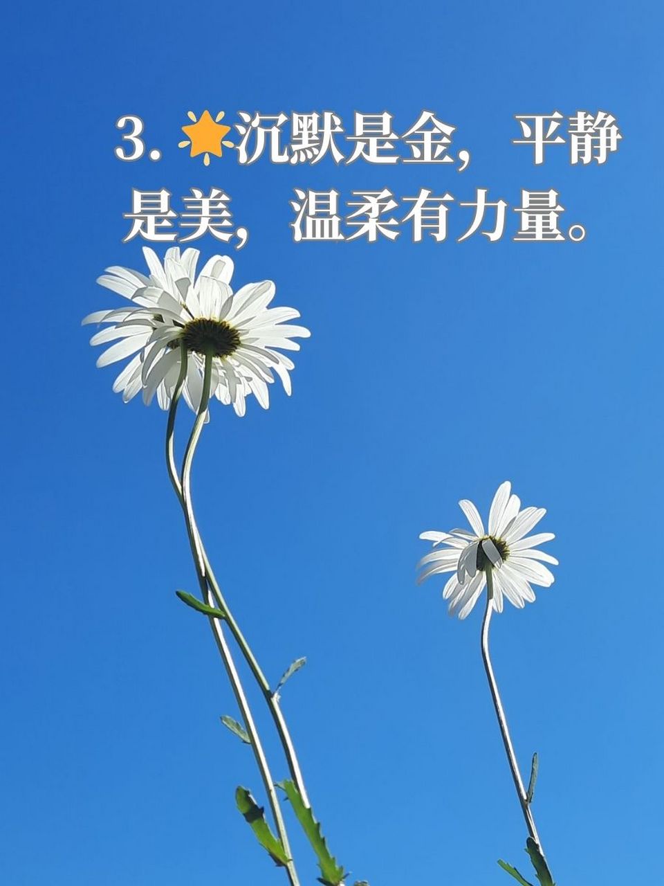 女人淡然心静唯美句子励志 1. 94静享时光,微笑向暖,便是幸福. 2.