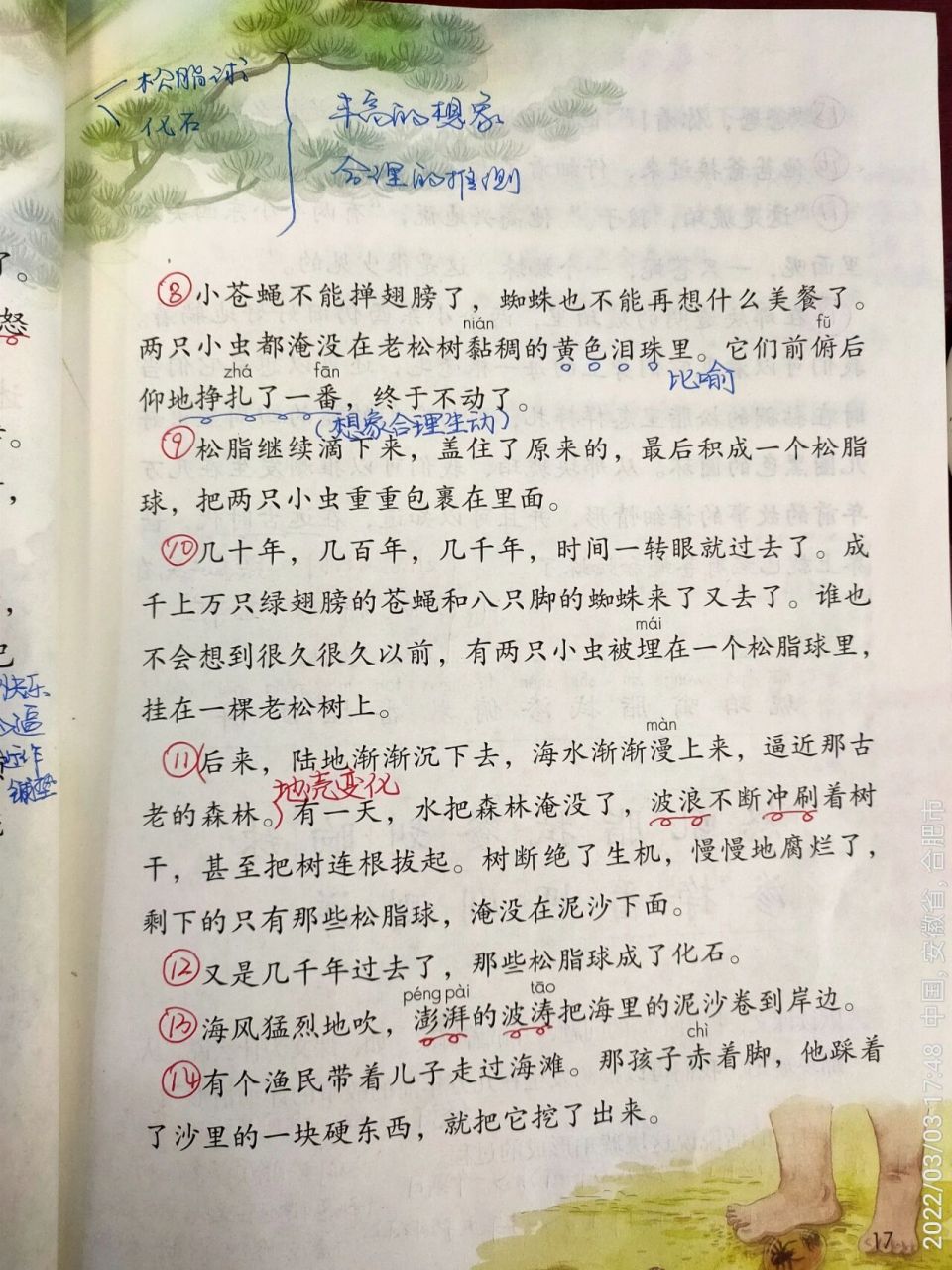 四年级下册语文|第五课《琥珀》教学笔记 四年级下册语文《琥珀》教学