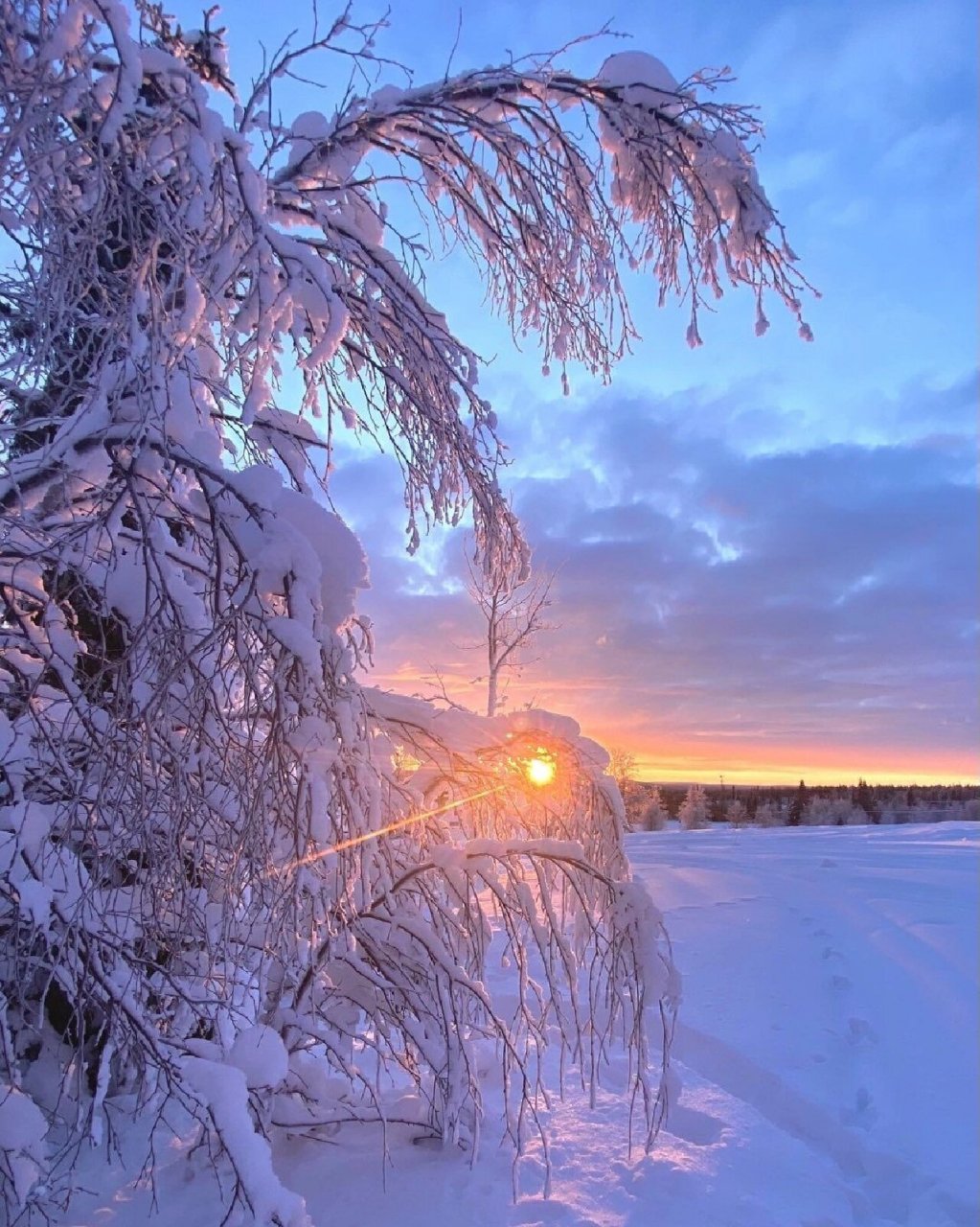 芬兰雪景 唯美图片
