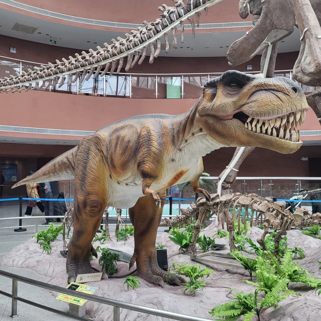 恐龙博物馆