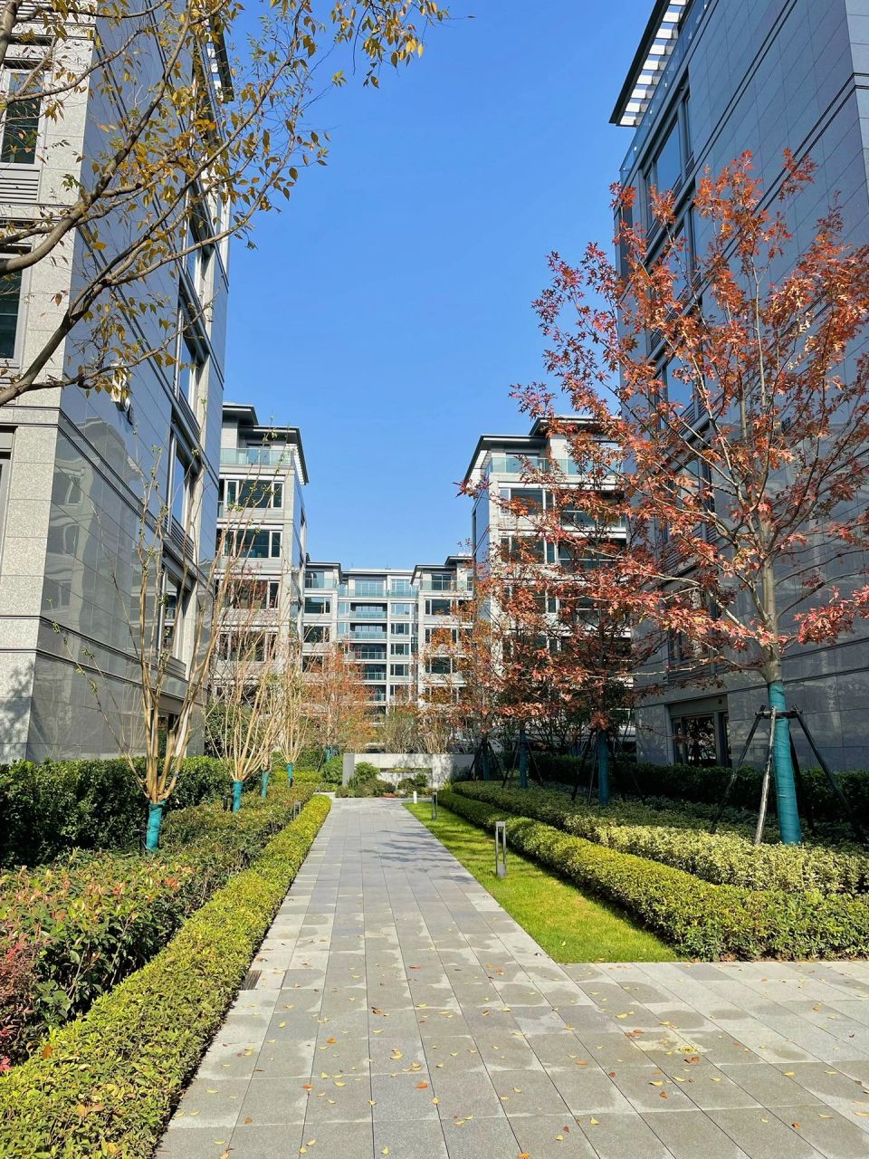 绿城春来晓园 最新交付 绿城春来晓园交付,有喜欢的可以一起参观下