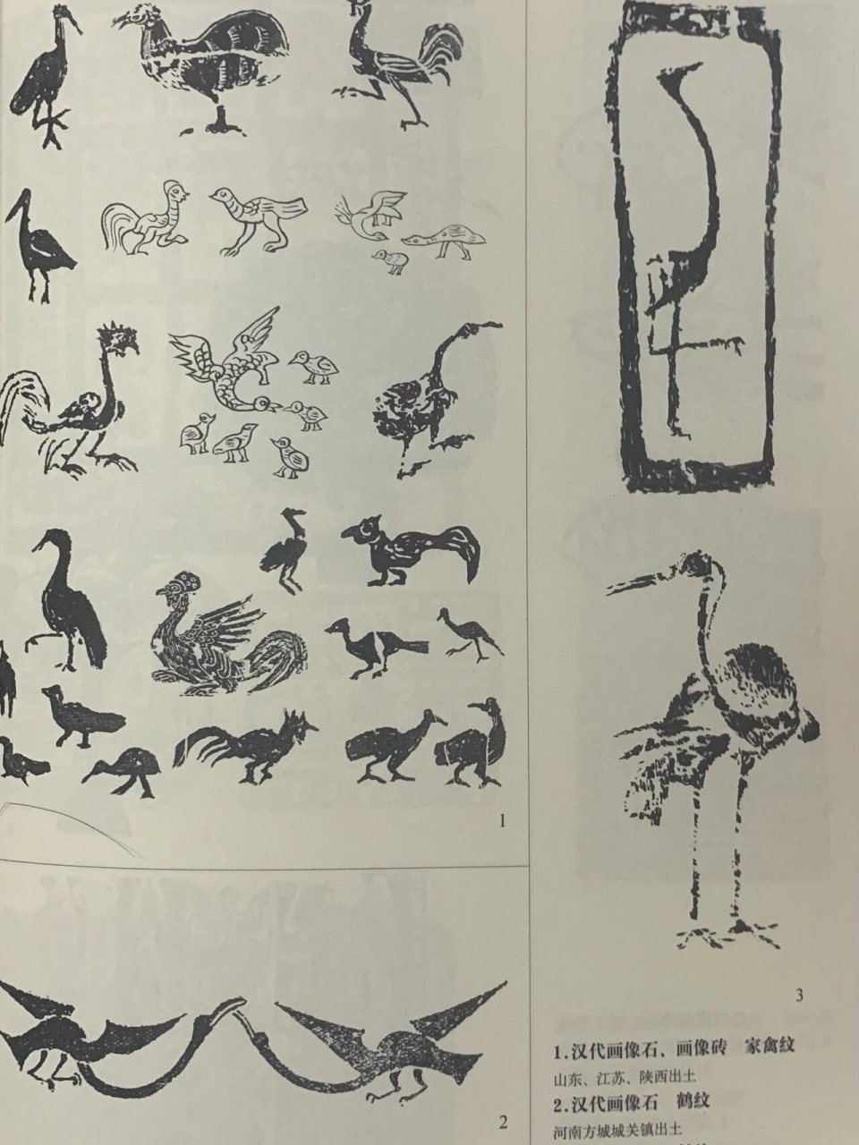 战国秦汉时期纹样-动物纹样:鸟纹 玄武 95鸟纹 鸟纹写实而生动,而且