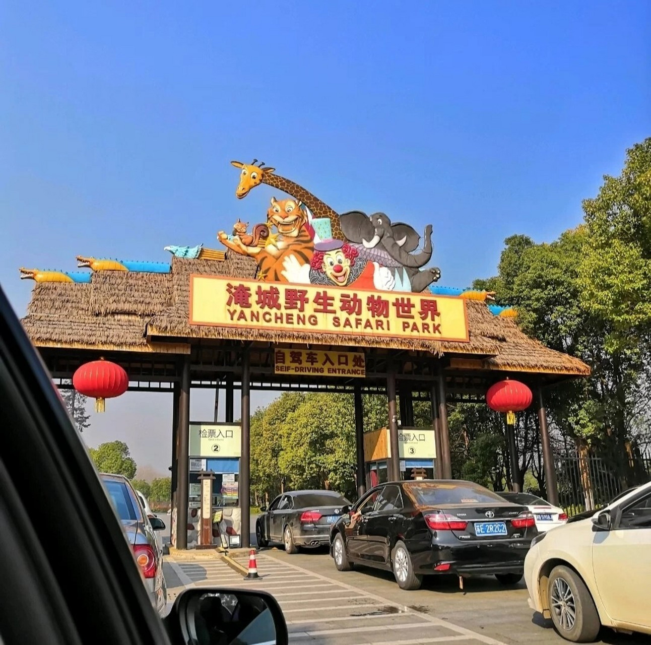 常州淹城野生动物园自驾游攻略👍🏻 🌈时间:3月最后一个周日,人