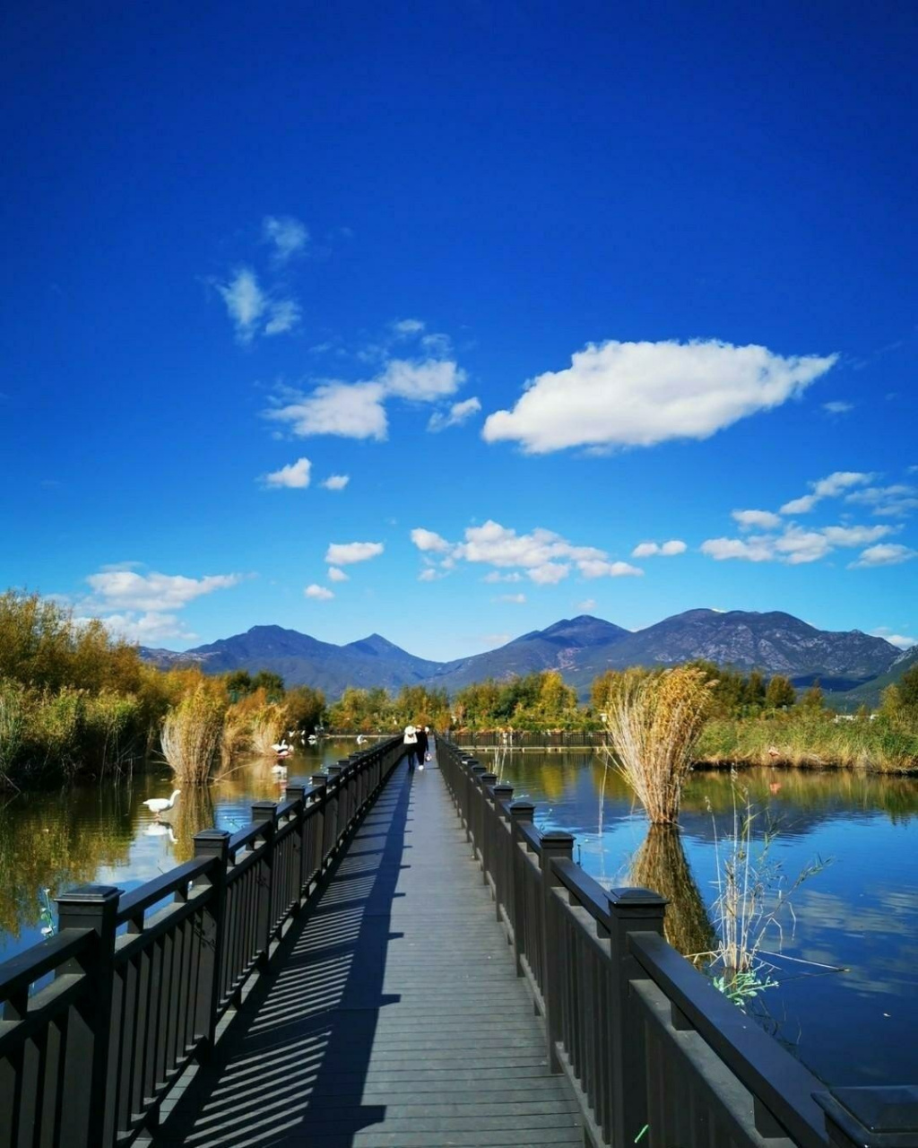 拉市海(湿地公园) 拉市海风景区 拉市海风景区位于丽江县城西面8公里