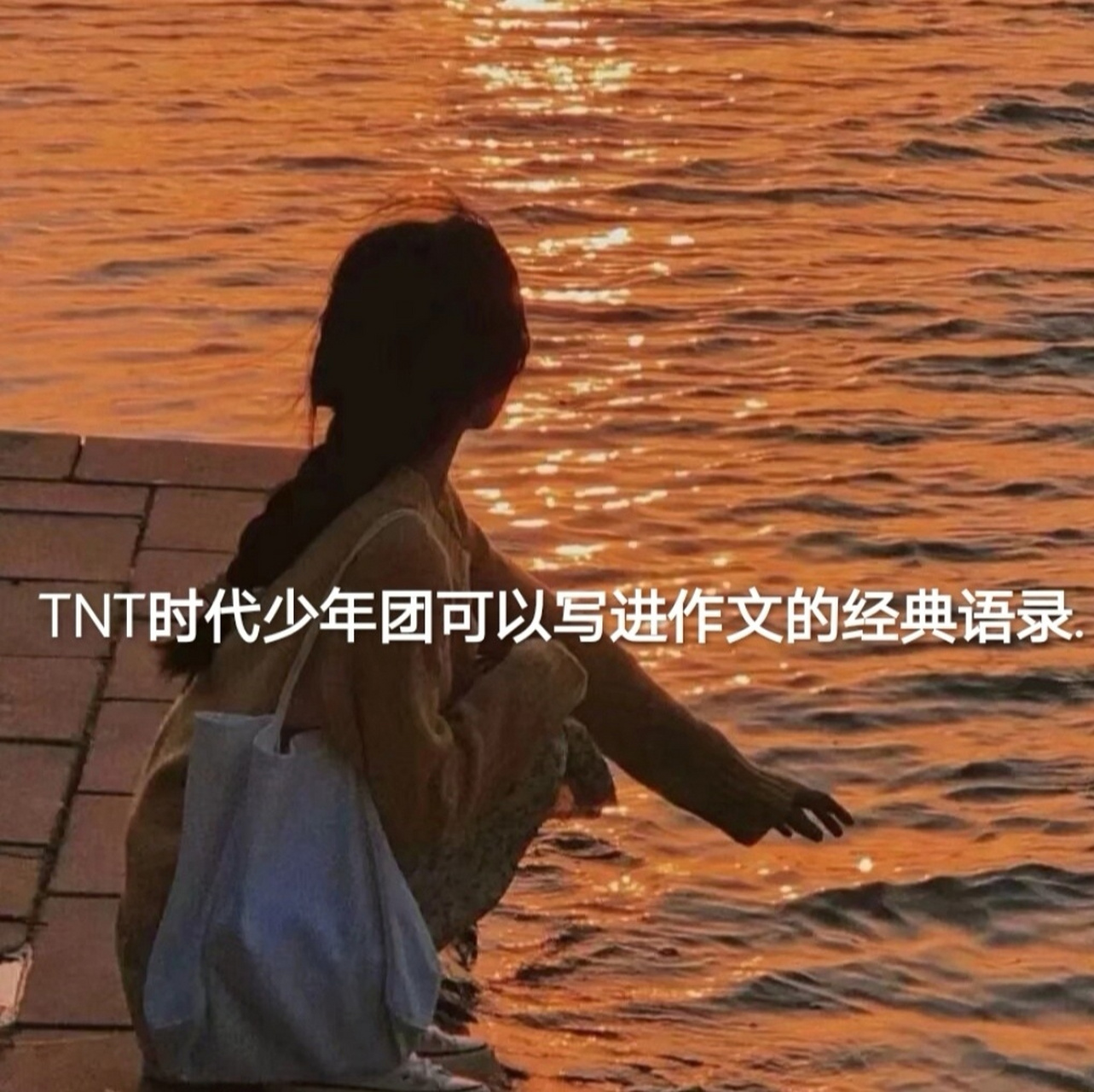 TNT能写进作文的语录图片