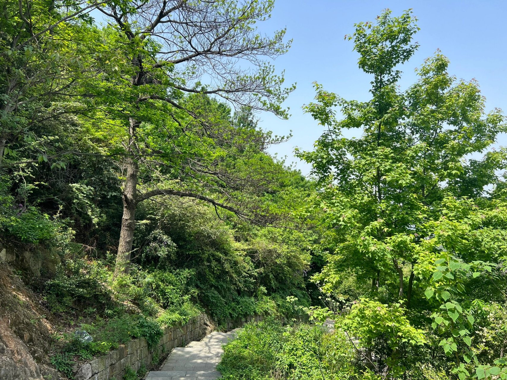 鞍山骆驼山简介图片