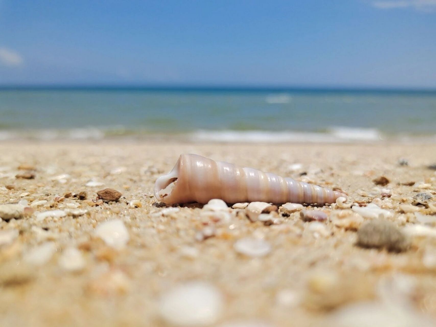 殊不知,离白浪滩不远的地方有一个不为人知的小景区,他就是白沙湾.