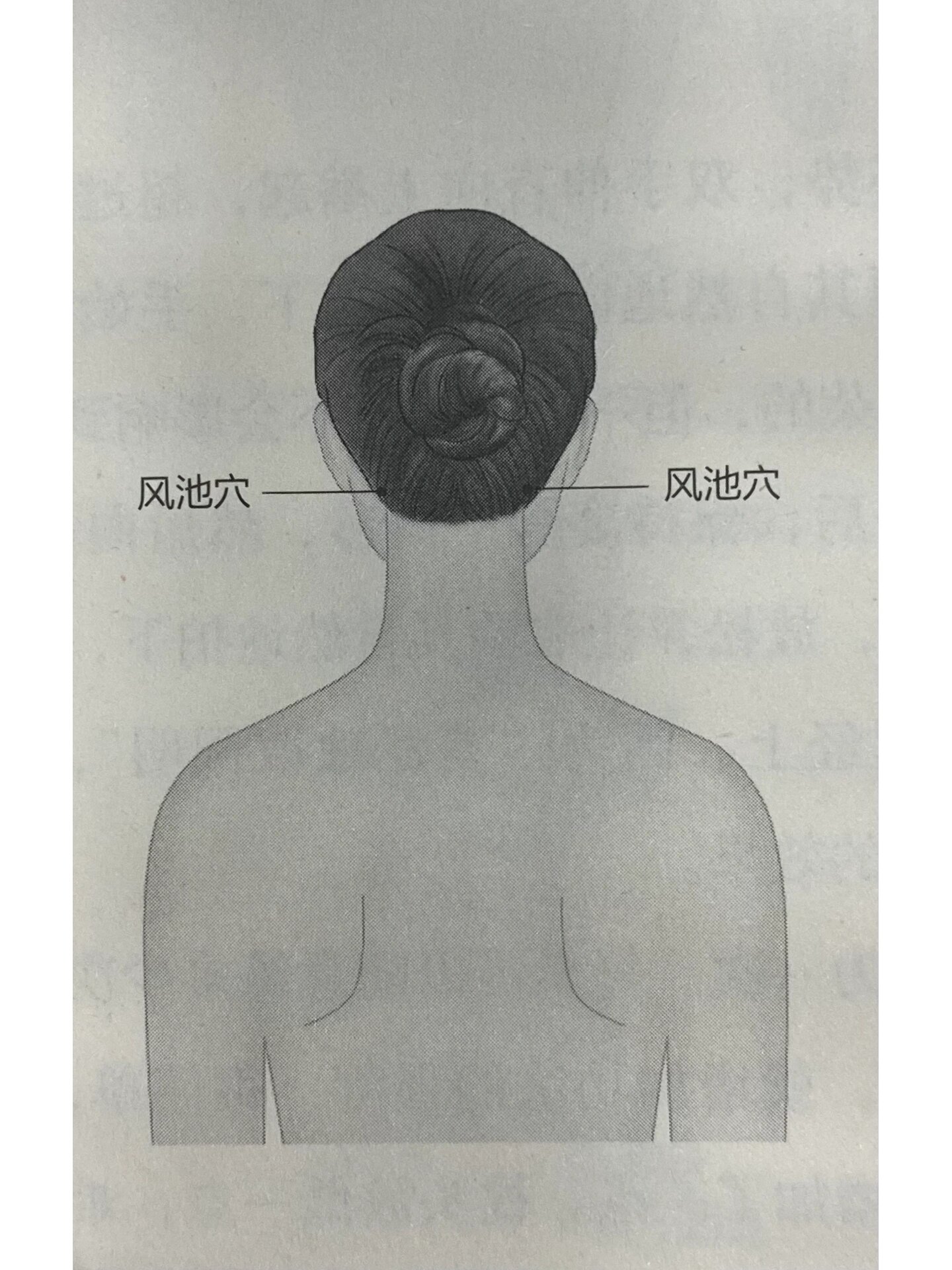 风池和天柱的位置图图片