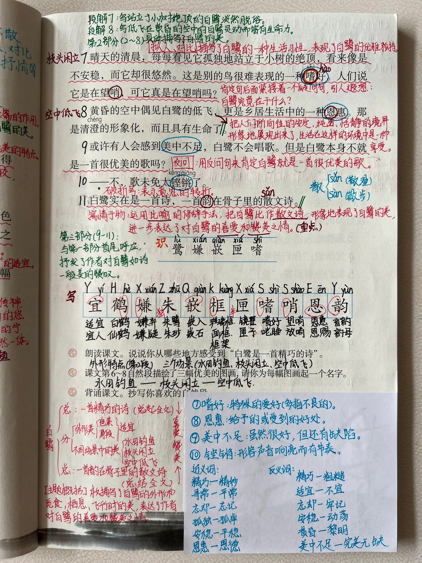 1·白鹭生字