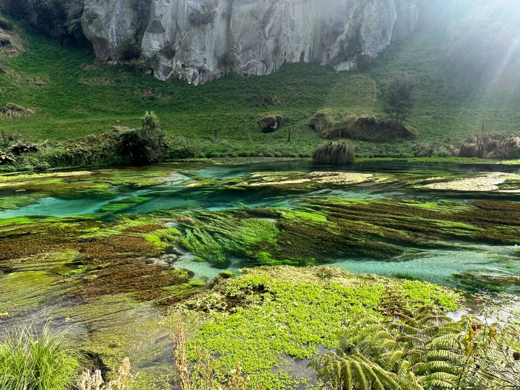 新西兰|阿凡达2取景地91人间仙境蓝泉 blue spring 99 leslie