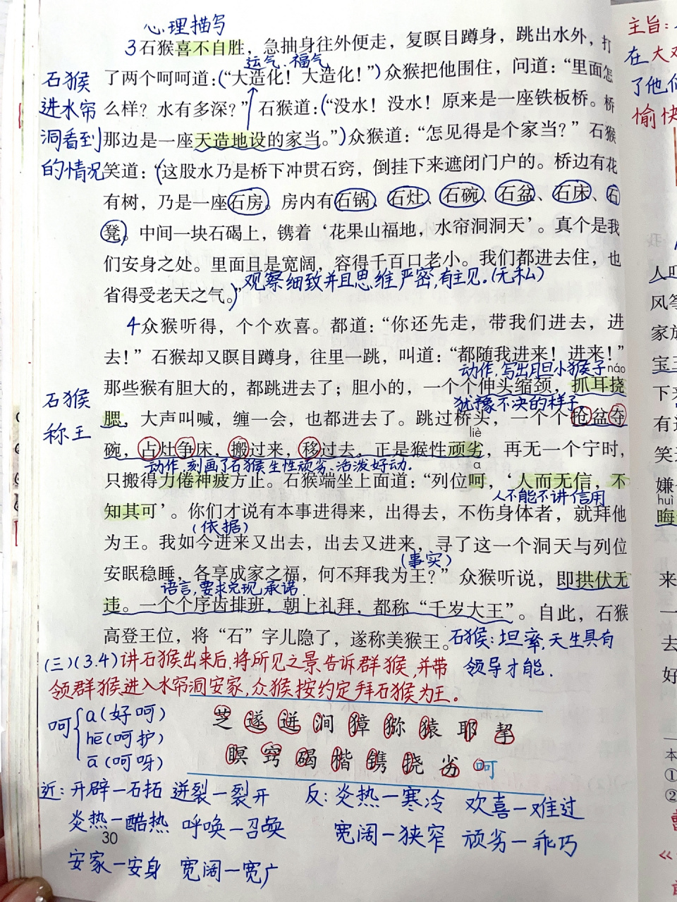 五年级下册《猴王出世》笔记 部编本 五年级下册语文 第二单元《猴王