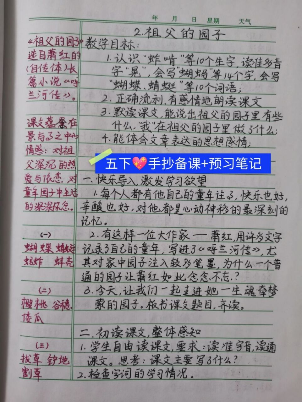 祖父的园子》手抄备课和预习笔记 #祖父的园子# #五年级# #小学语文