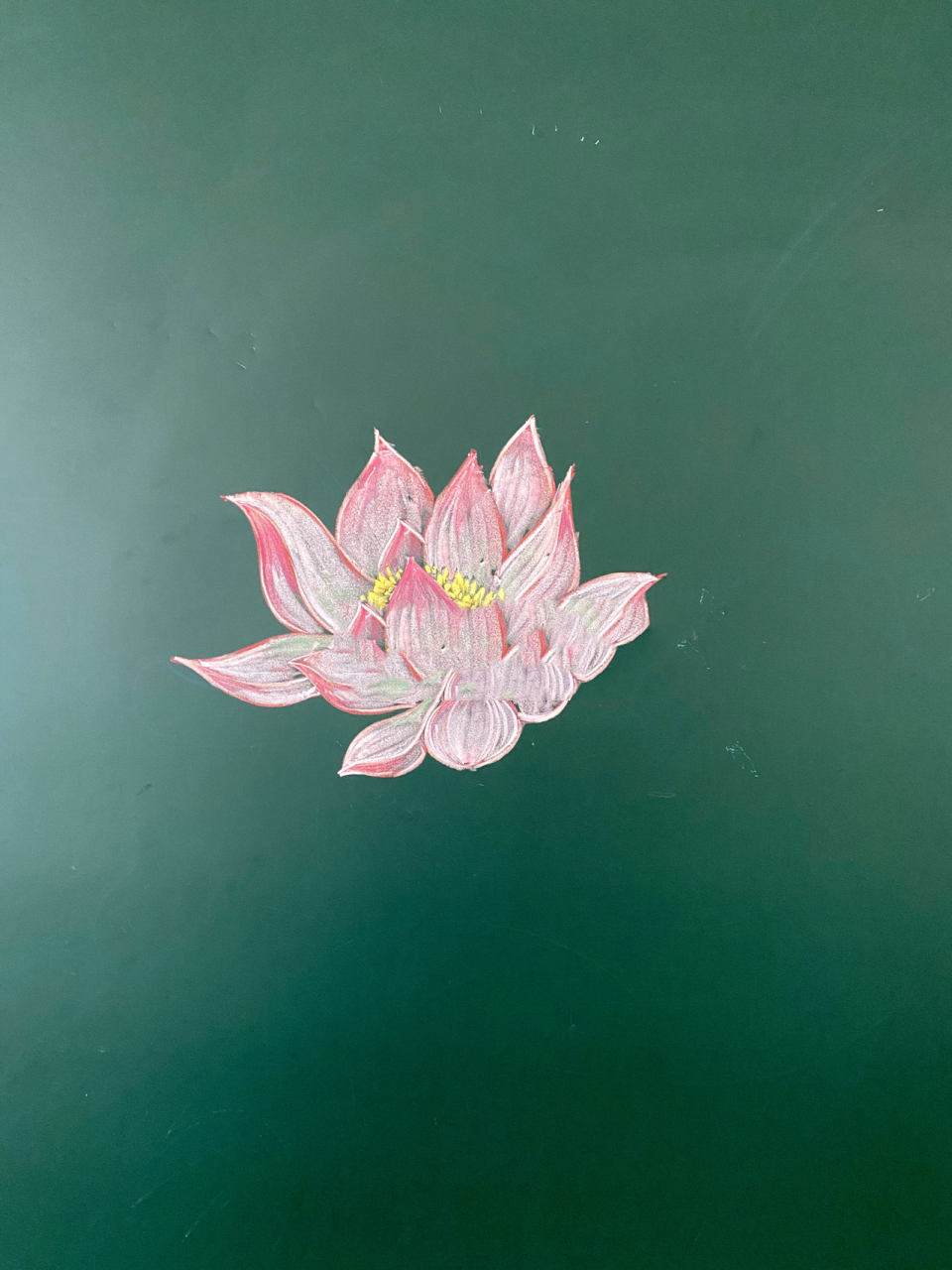 黑板画| 荷花过程 又是一个加班的上午,等待的过程中又画了一幅粉笔画