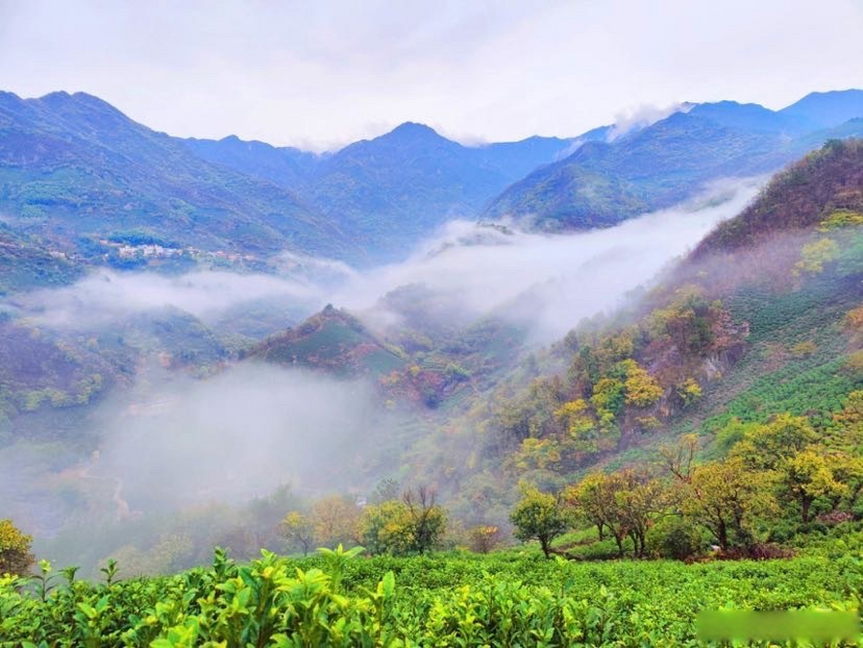 高山云雾图片