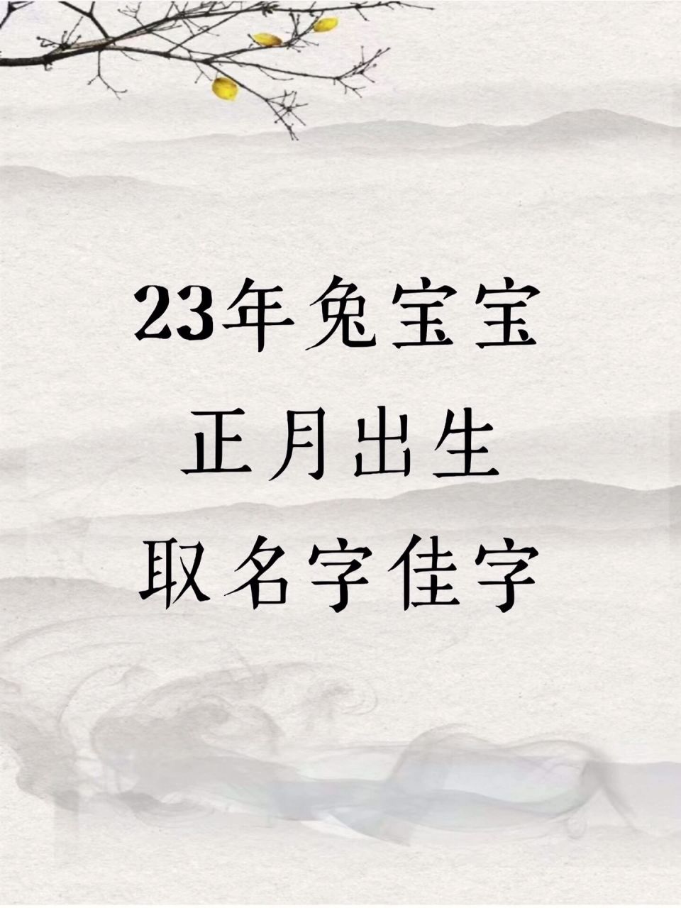 兔宝宝起名 一,23年兔宝宝取名字佳字男孩