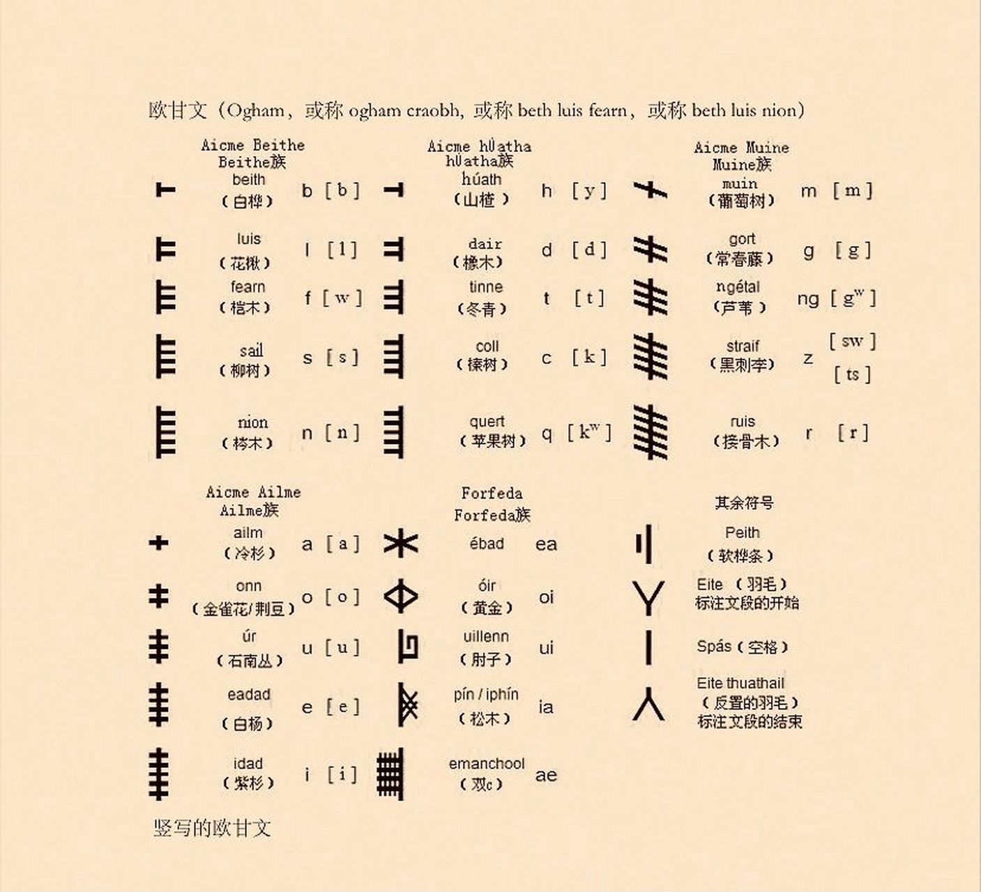 神秘学文字【ogham】 简介: 未被完全破译的古爱尔兰-皮克特语,传说是