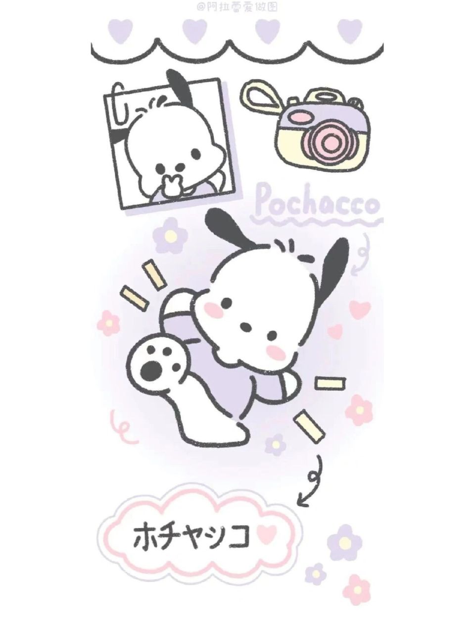 帕恰狗壁纸 拜托,帕恰狗真的很可爱的好吗?