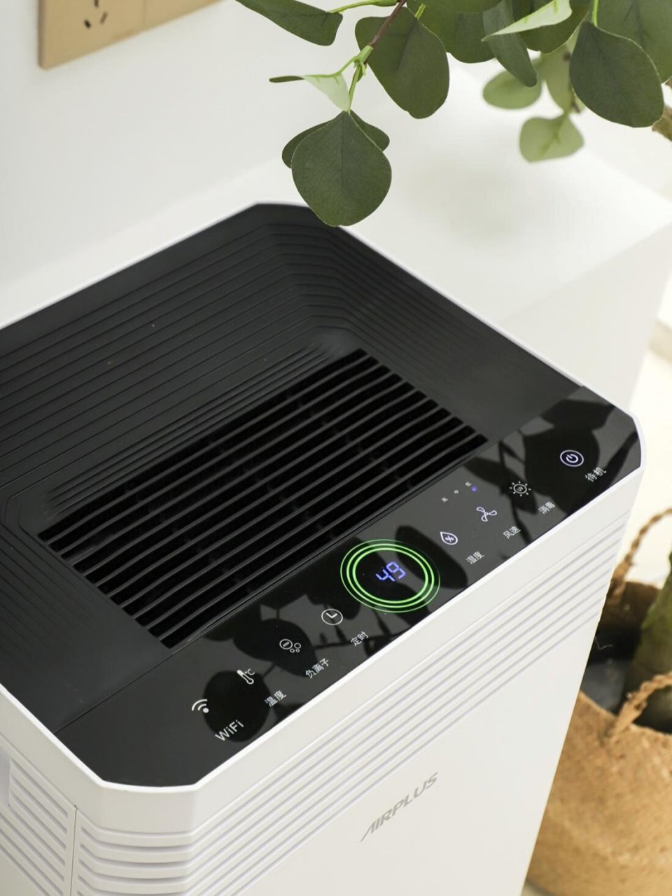 这么好用的除湿机,你还不知道吗?