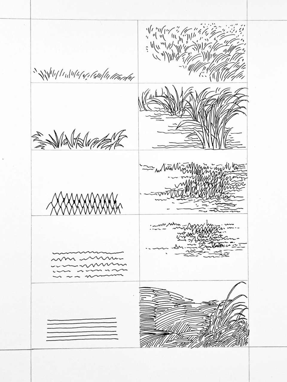 草地|钢笔画练习 整理的一些草地画法