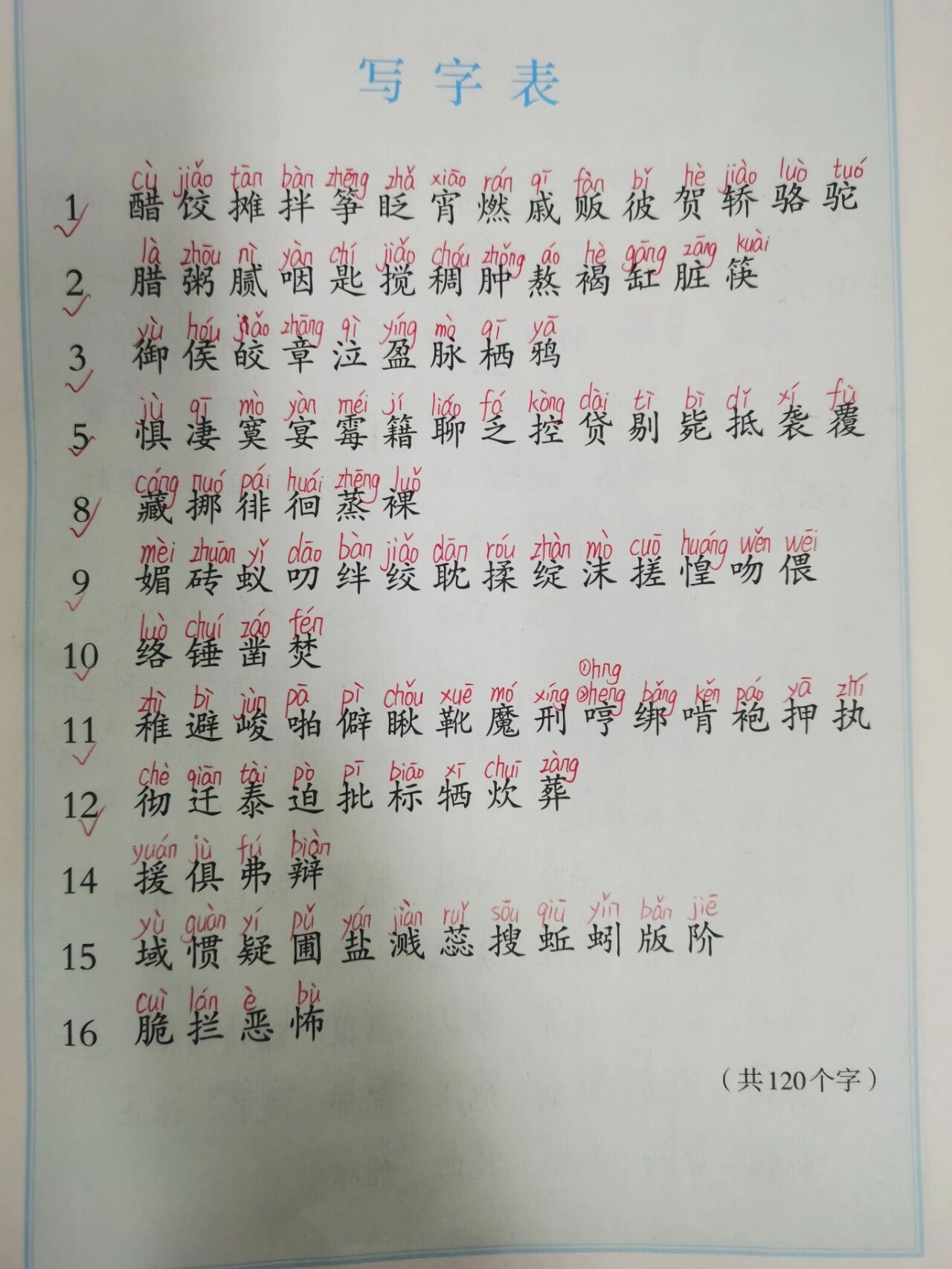 2023年新版部编版六年级下册语文生字表注音