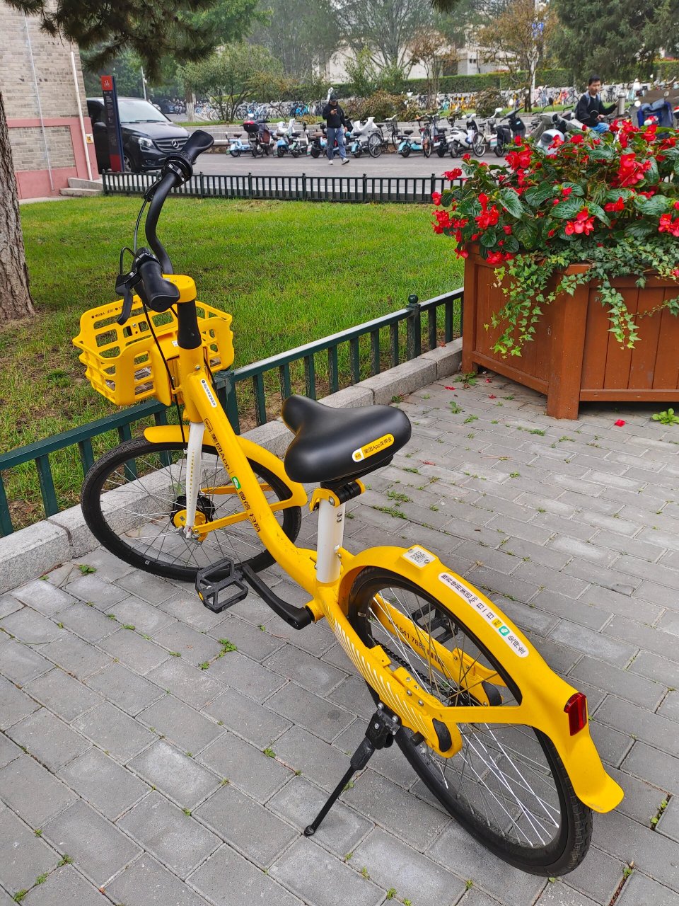 我宣布它是北京骑得最轻松的共享单车 一定要这个小黄框 全都是黄的