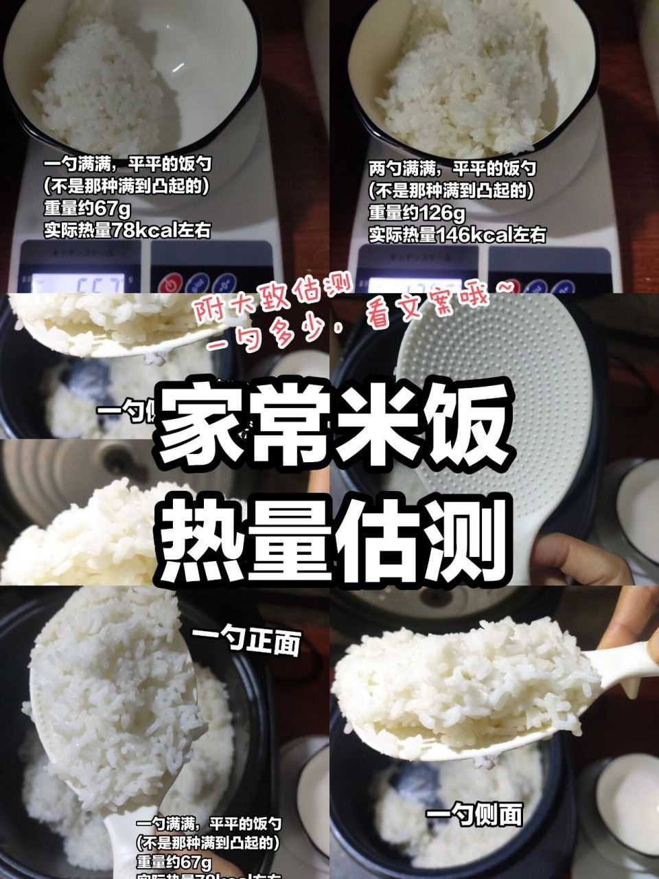 日常米饭热量测评!