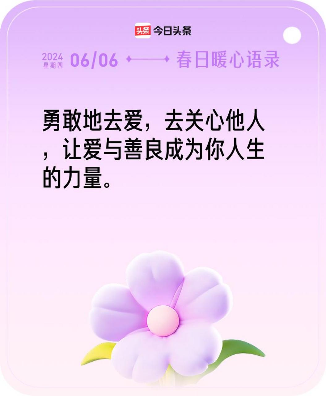 今日暖心语录我抽到的暖心语录为:勇敢地去爱,去关心他人,让爱与善良