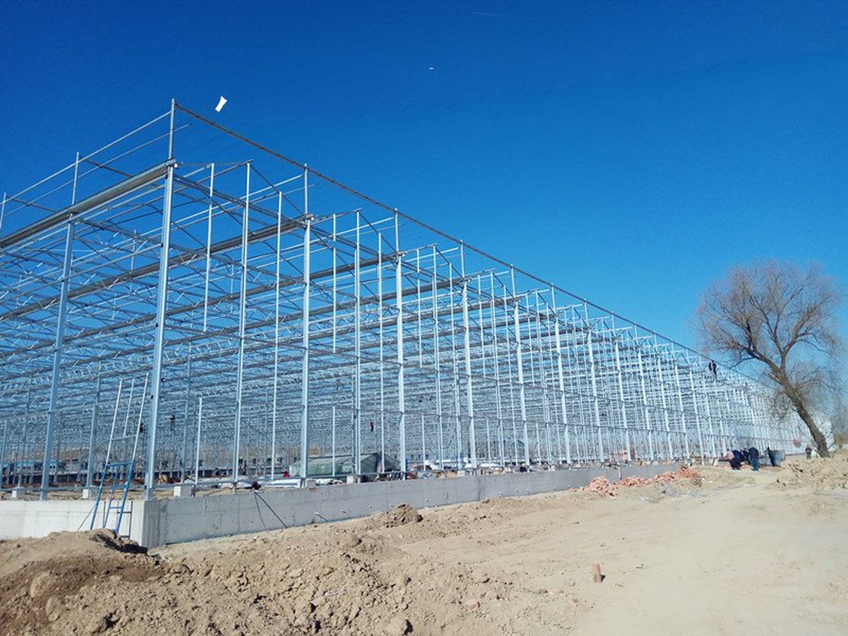 温室大棚造价多少钱一平?