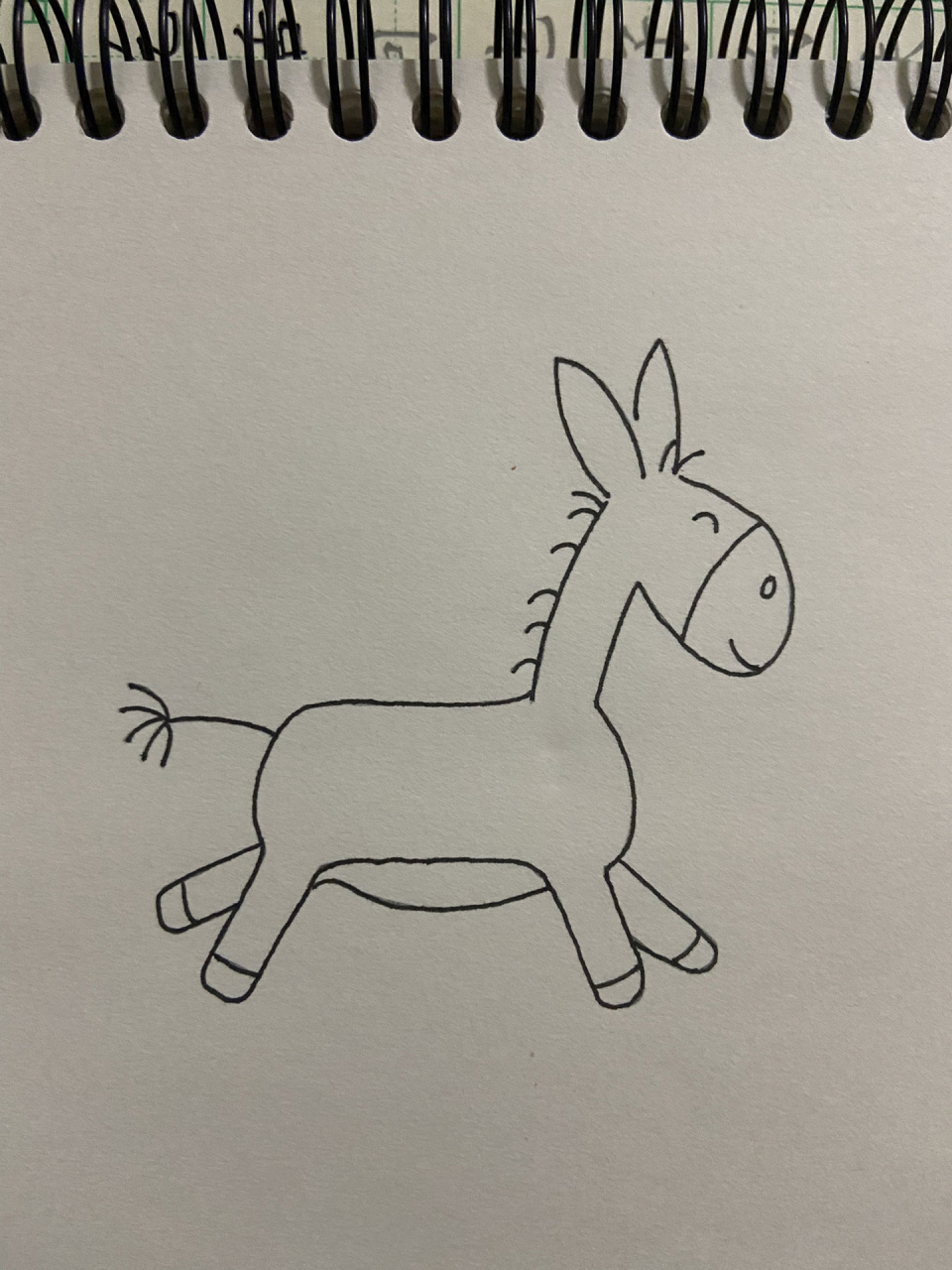 驴的简笔画画法图片