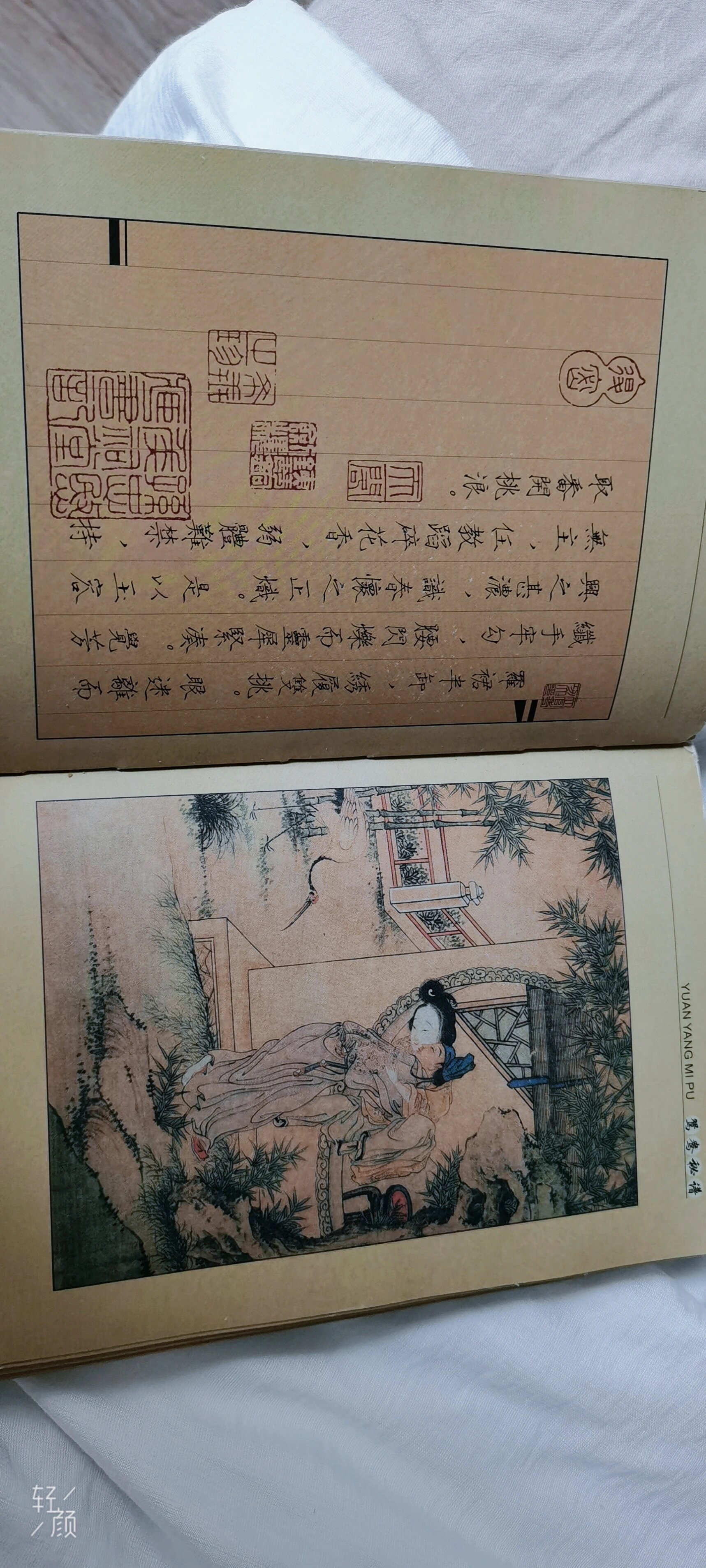 古代画本—鸳鸯秘谱