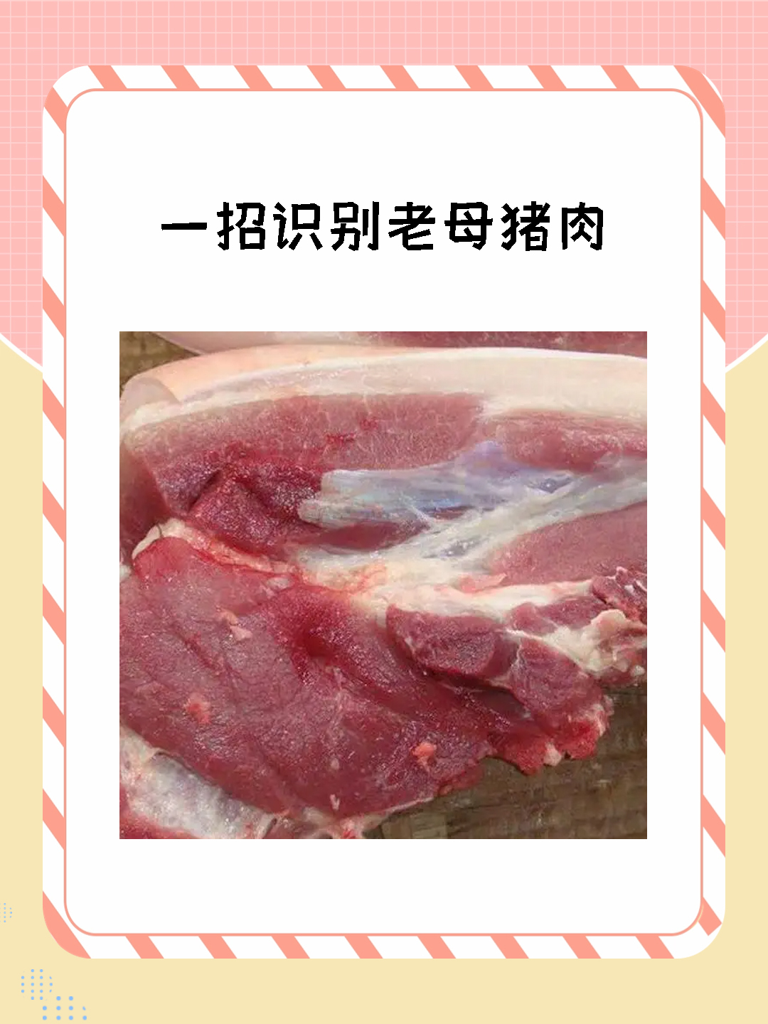 怎么辨别母猪肉图片