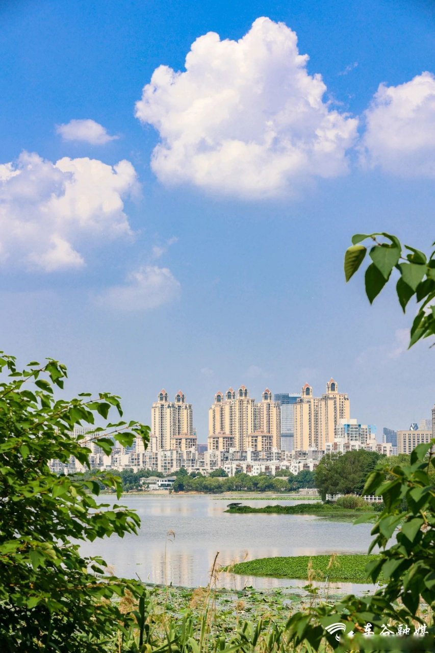 寻美武汉经开区# 【"城"遇三角湖:与湖"言欢"的n种可能】有人说,呈行