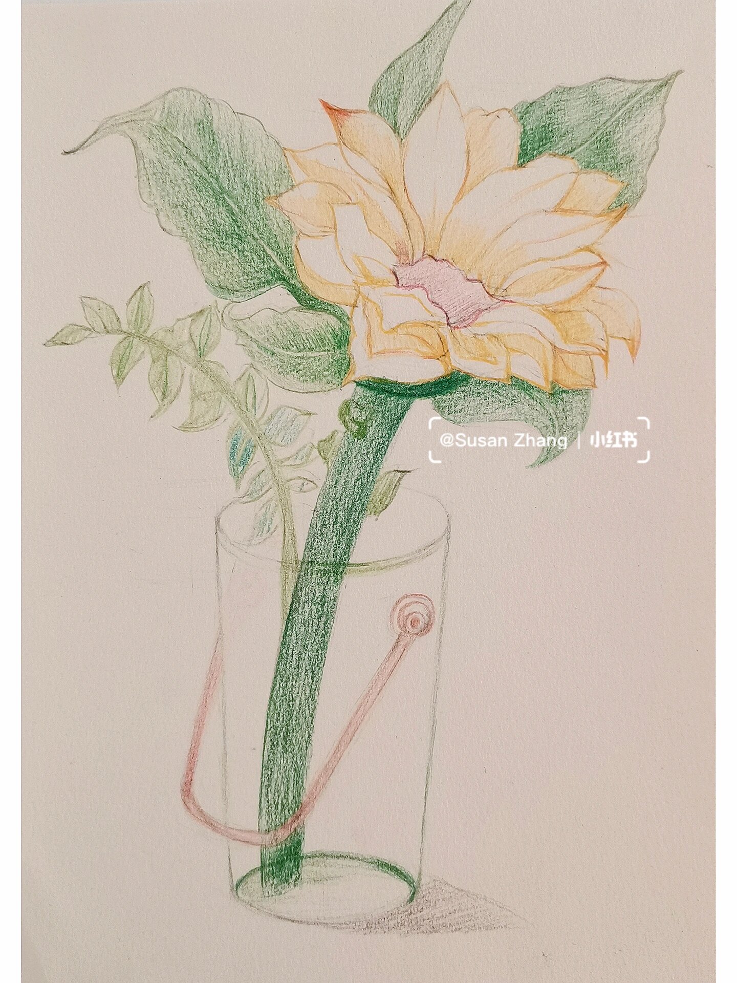 向日葵97 彩铅花卉