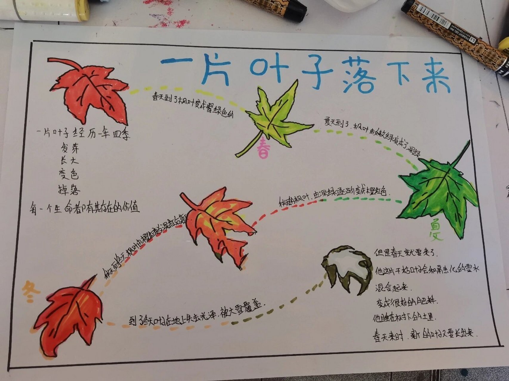 树叶变化手绘 四季树叶的变化,树叶会掉落生命开始