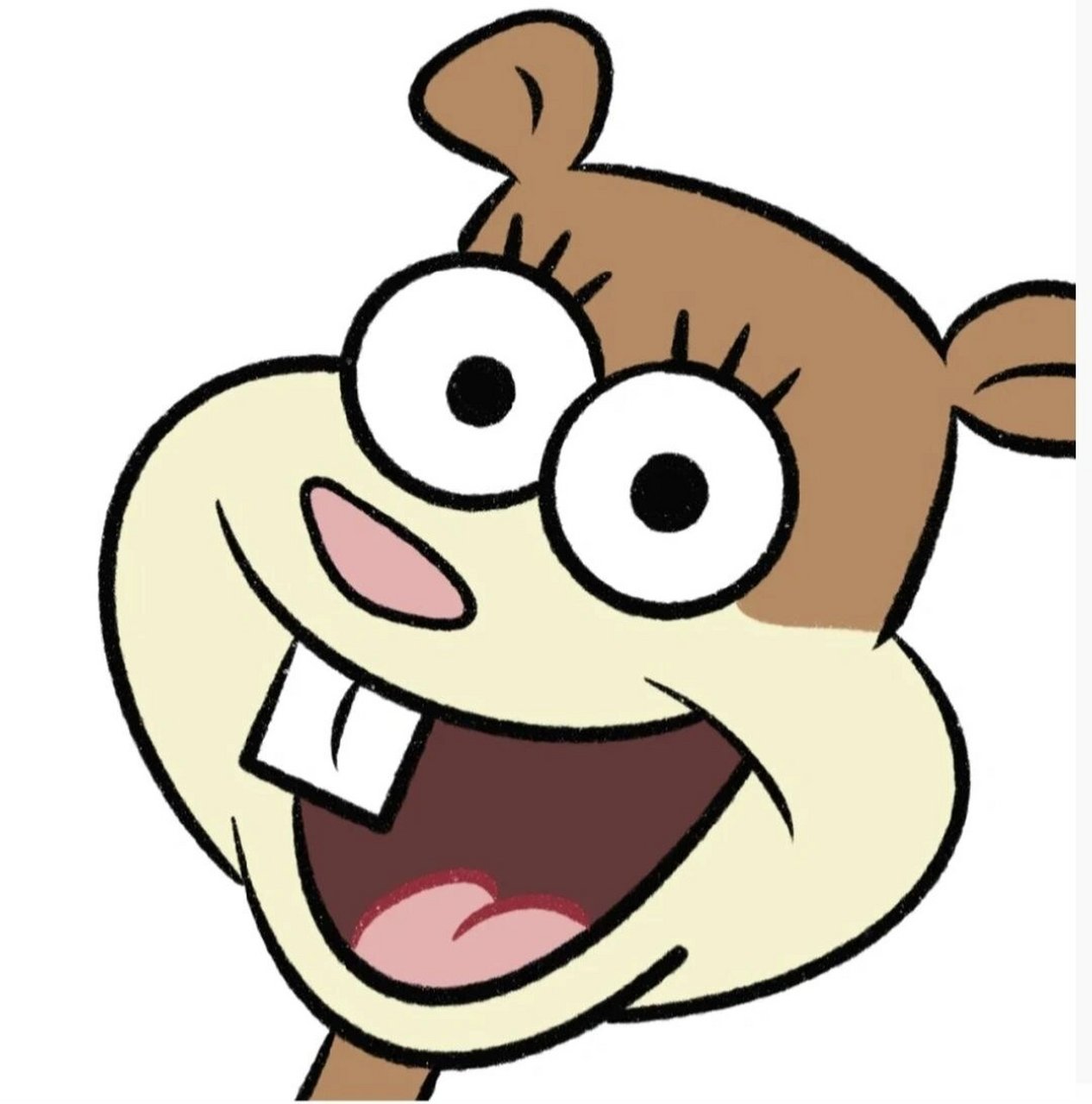 松鼠珊迪头像(1) 图源网络,知道原创的贝贝们艾特我