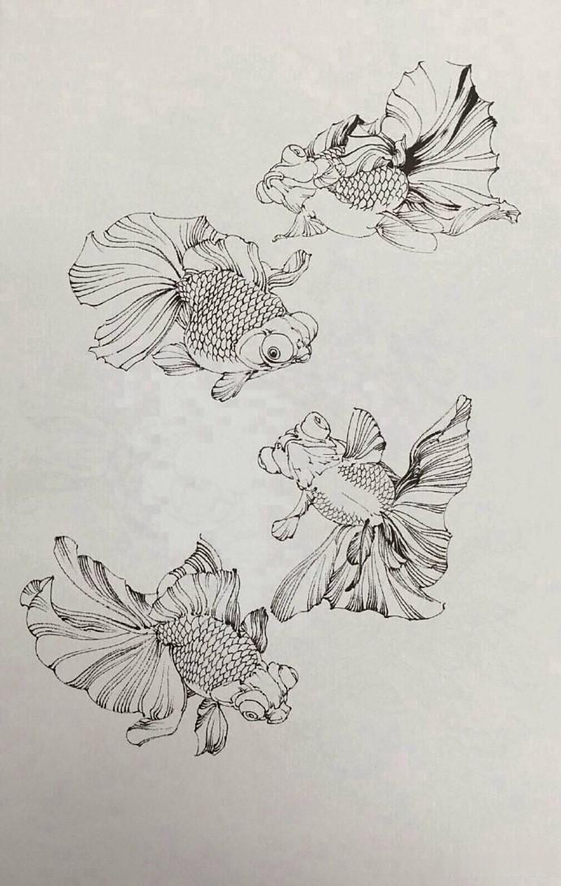 传统白描金鱼技法工笔画白描国画中国画