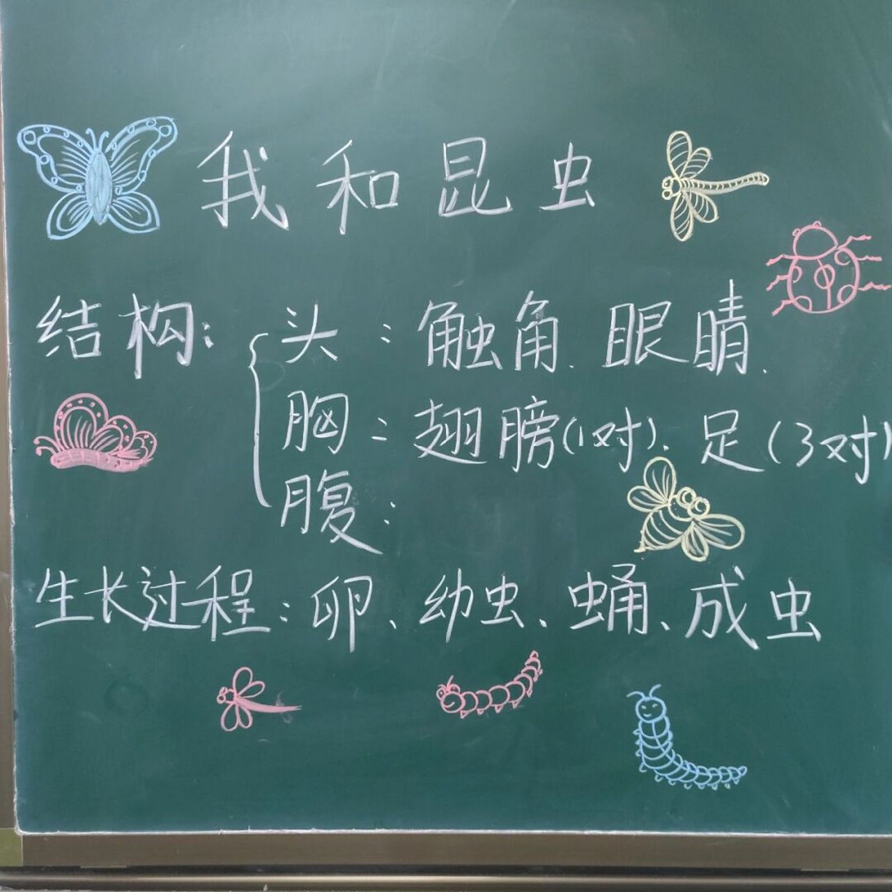 人美版小学美术课板书示范《我和昆虫》 #小学美术老师# #儿童画# #简