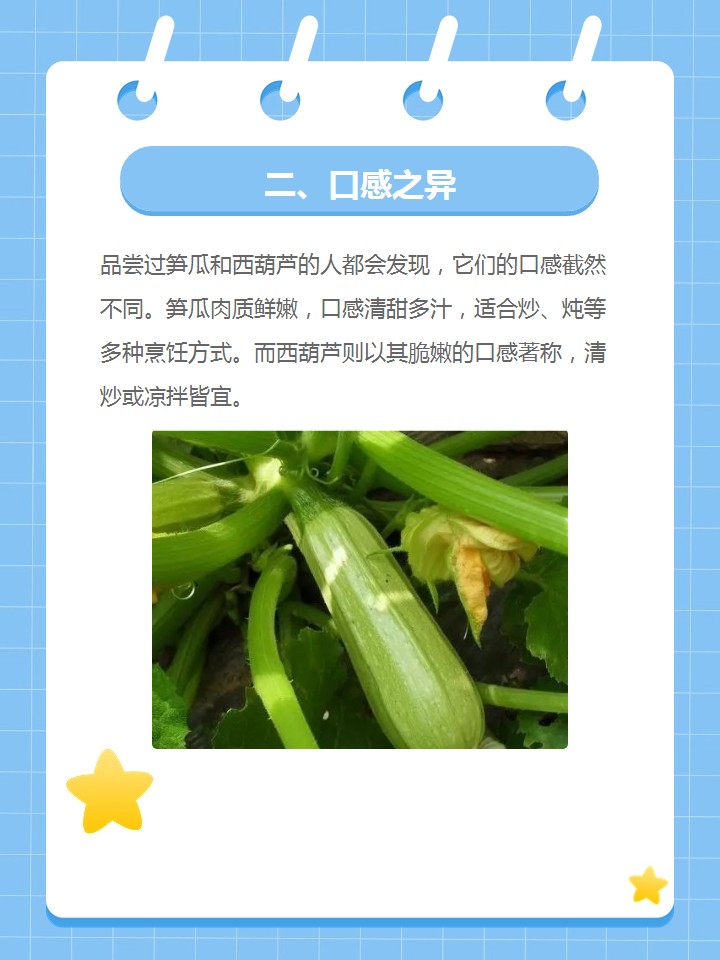笋瓜和西葫芦区别吗 笋瓜与西葫芦,虽同为蔬菜家族的一员,却在外形