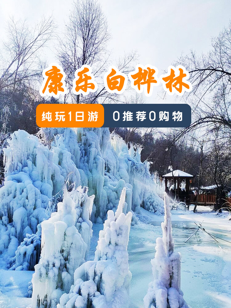 98康乐白桦林,洁白如玉,宛如仙境!
