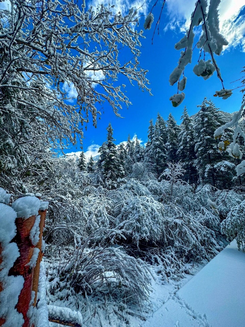 下雪天美景图片