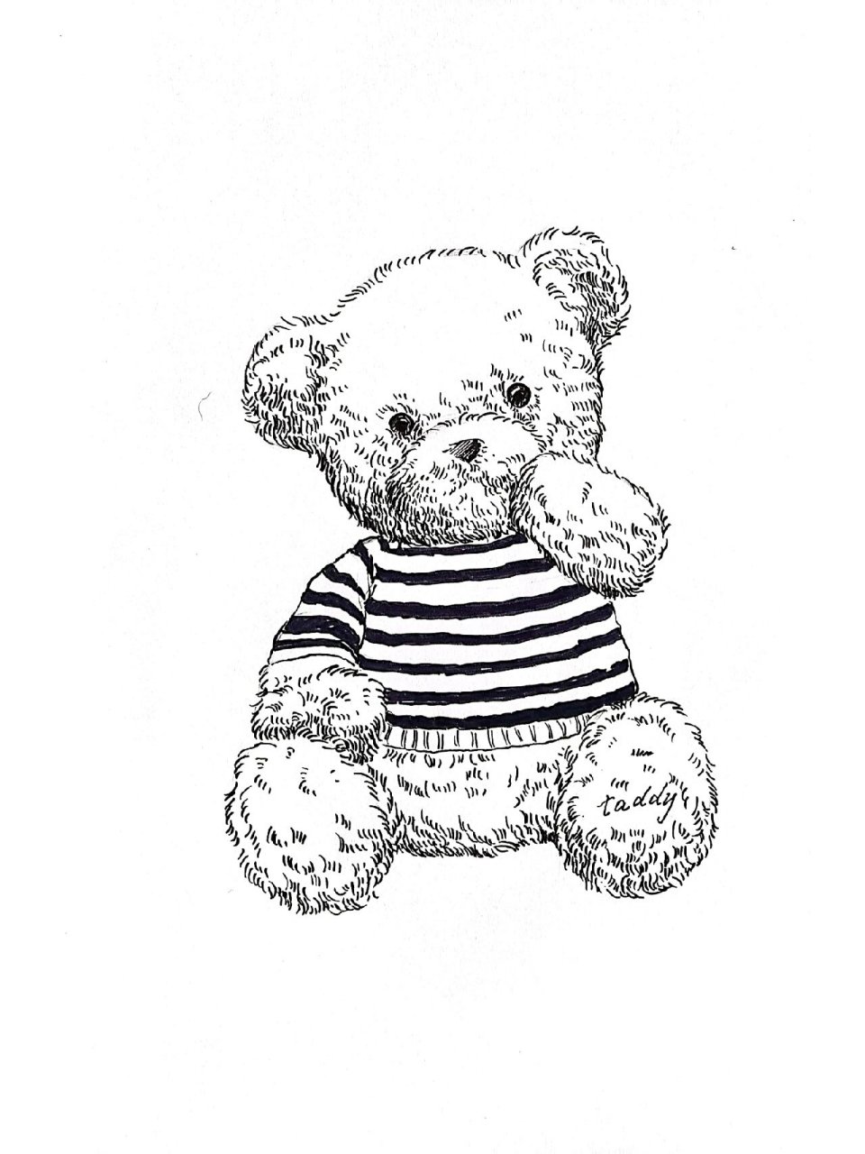 毛绒玩具熊(附步骤) #毛绒公仔# #速写写生