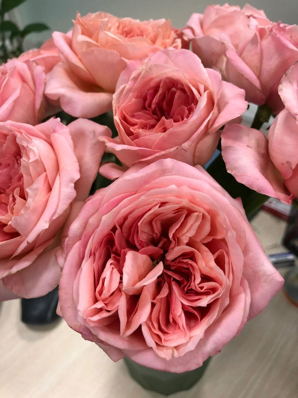 玫瑰|伦敦眼(迪瑞特)  41. 伦敦眼.