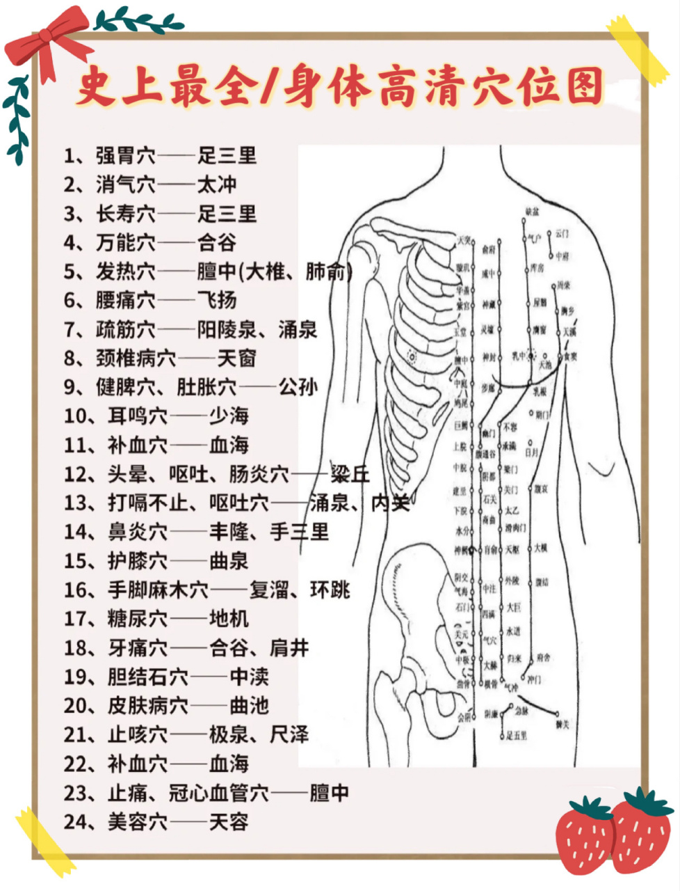 人体全身血位图及作用图片