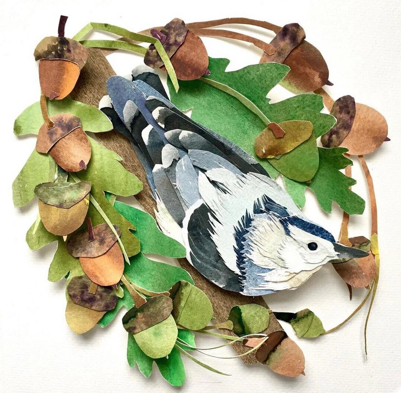 写实又立体的创意剪贴画 | 宠物鸟系列