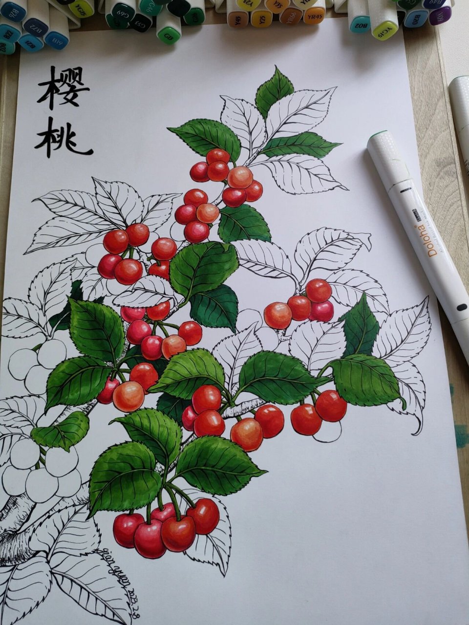樱桃马克笔绘画线描插画装饰画原创 樱桃可谓是水果界的颜值担当,就算