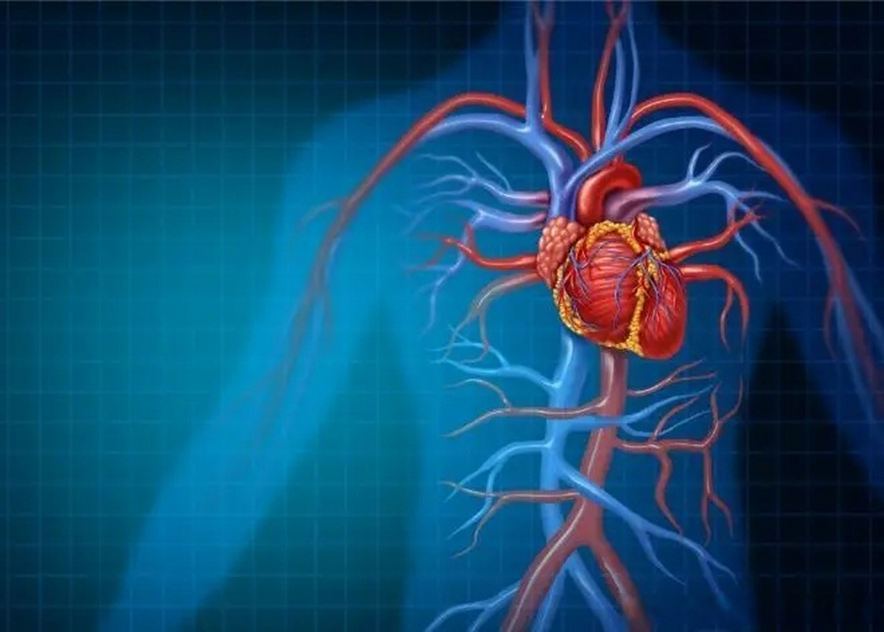 其实心脏供血不足是指给心脏供血的冠状动脉引起狭窄,比如临床常见的